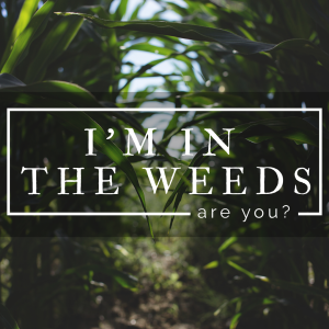 rootedpath_im-in-the-weeds_1080